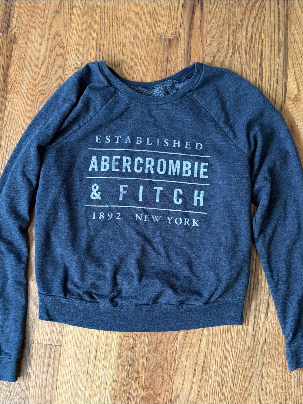 Abercrombie & Fitch Women's Navy Graphic Crewneck Sweatshirt